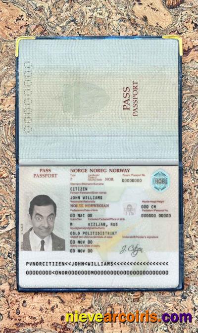 Norway passport photolook